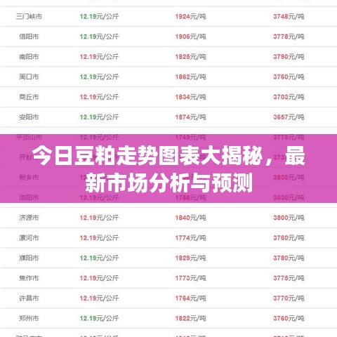今日豆粕走势图表大揭秘，最新市场分析与预测