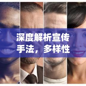 深度解析宣传手法，多样性与有效性探究