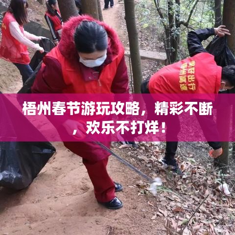 梧州春节游玩攻略，精彩不断，欢乐不打烊！