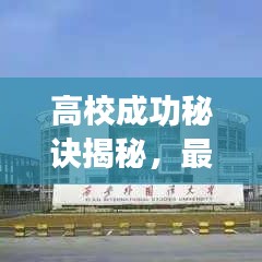 高校成功秘诀揭秘，最新攻略助你探索成功之路