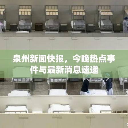 泉州新闻快报，今晚热点事件与最新消息速递