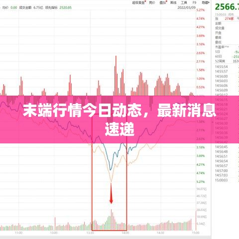 末端行情今日动态，最新消息速递