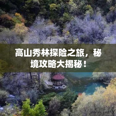 高山秀林探险之旅，秘境攻略大揭秘！