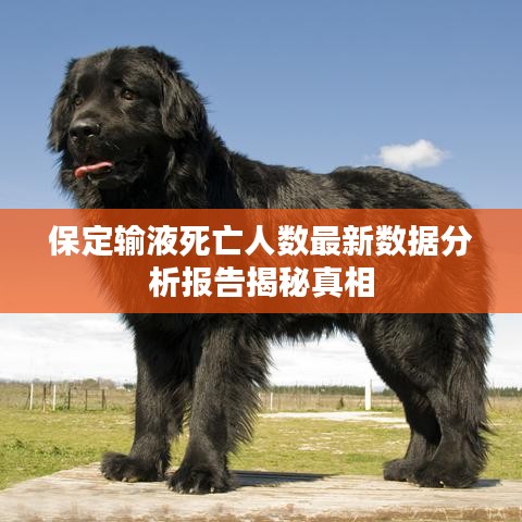 保定输液死亡人数最新数据分析报告揭秘真相