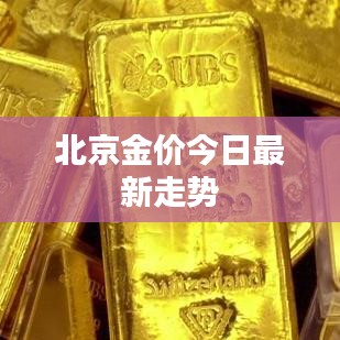 北京金价今日最新走势