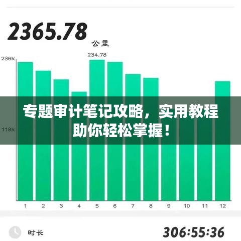 专题审计笔记攻略，实用教程助你轻松掌握！