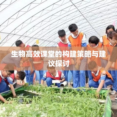 生物高效课堂的构建策略与建议探讨