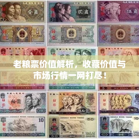 老粮票价值解析，收藏价值与市场行情一网打尽！