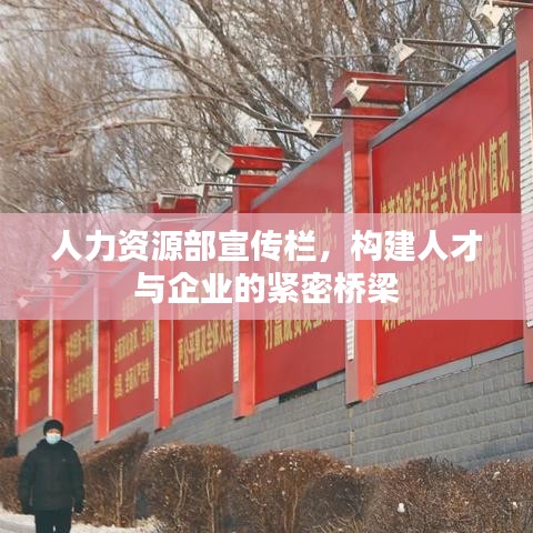 人力资源部宣传栏，构建人才与企业的紧密桥梁