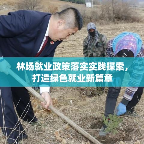 林场就业政策落实实践探索，打造绿色就业新篇章