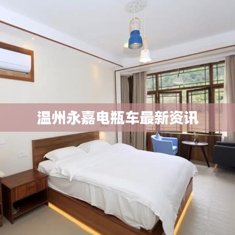 温州永嘉电瓶车最新资讯