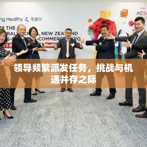 领导频繁派发任务，挑战与机遇并存之际