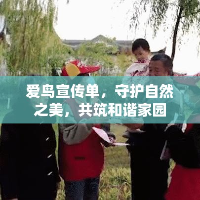 爱鸟宣传单，守护自然之美，共筑和谐家园