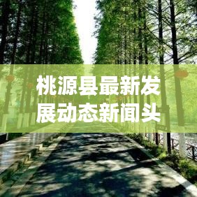 桃源县最新发展动态新闻头条，揭秘桃源县的新面貌