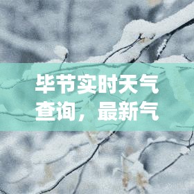 毕节实时天气查询，最新气象信息，一手掌握！