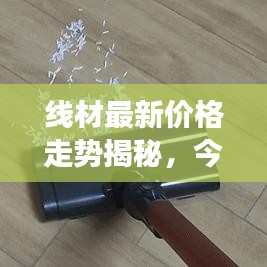 线材最新价格走势揭秘，今日市场变动一网打尽
