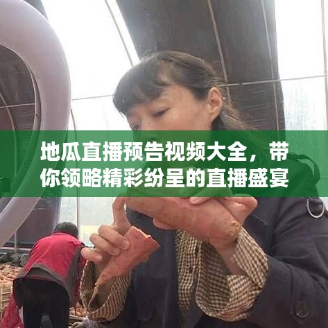 地瓜直播预告视频大全，带你领略精彩纷呈的直播盛宴