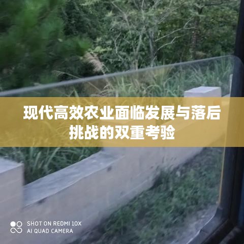 现代高效农业面临发展与落后挑战的双重考验