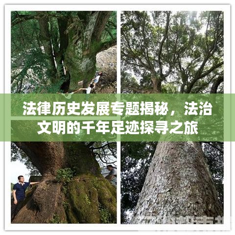 法律历史发展专题揭秘，法治文明的千年足迹探寻之旅