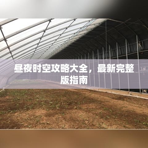 2025年5月19日