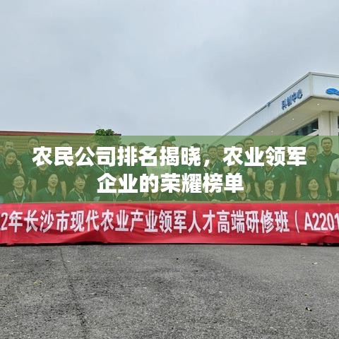 农民公司排名揭晓，农业领军企业的荣耀榜单