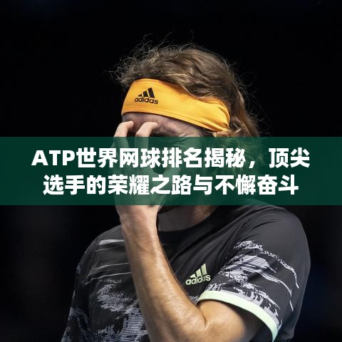 ATP世界网球排名揭秘，顶尖选手的荣耀之路与不懈奋斗