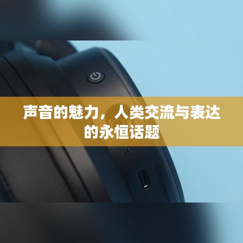 声音的魅力，人类交流与表达的永恒话题