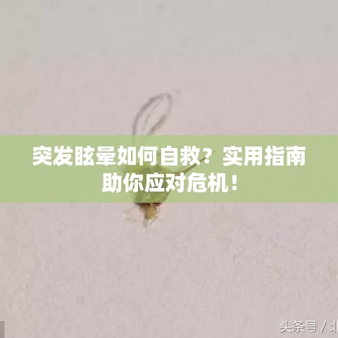 突发眩晕如何自救？实用指南助你应对危机！