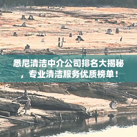 悉尼清洁中介公司排名大揭秘，专业清洁服务优质榜单！