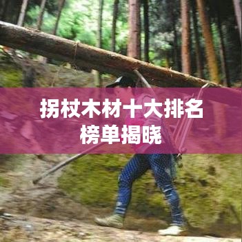 拐杖木材十大排名榜单揭晓