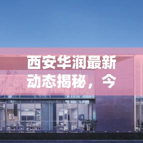 西安华润最新动态揭秘，今日头条独家报道！