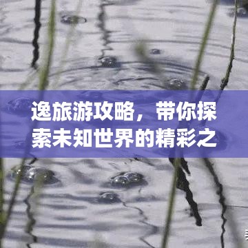 逸旅游攻略，带你探索未知世界的精彩之旅