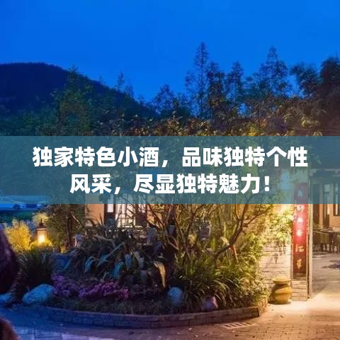 独家特色小酒，品味独特个性风采，尽显独特魅力！