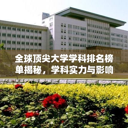 全球顶尖大学学科排名榜单揭秘，学科实力与影响力深度解析