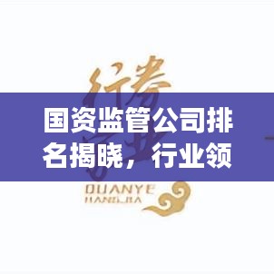 国资监管公司排名揭晓，行业领导者榜单及未来趋势展望