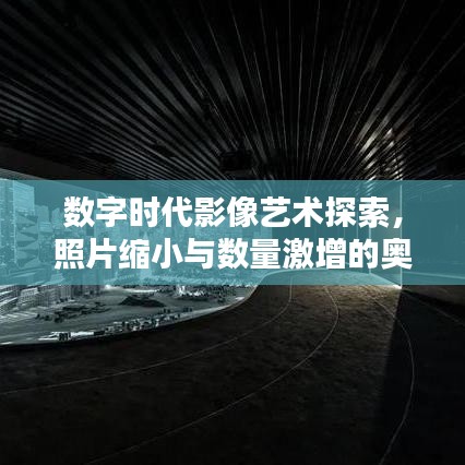 数字时代影像艺术探索，照片缩小与数量激增的奥秘