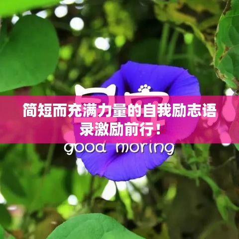 简短而充满力量的自我励志语录激励前行！