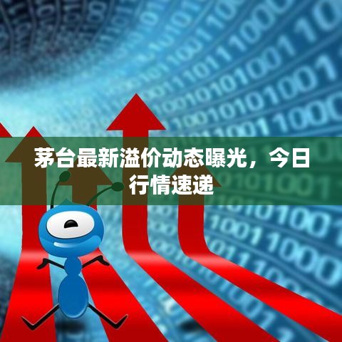 茅台最新溢价动态曝光，今日行情速递