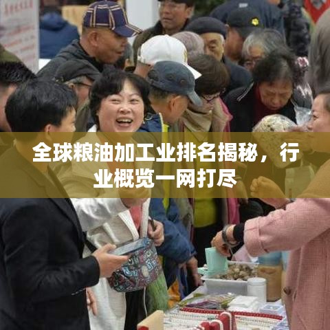 全球粮油加工业排名揭秘，行业概览一网打尽