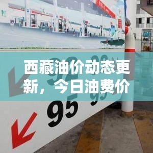西藏油价动态更新，今日油费价格最新消息