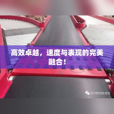 高效卓越，速度与表现的完美融合！