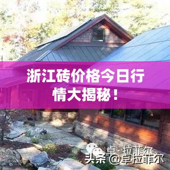 浙江砖价格今日行情大揭秘！