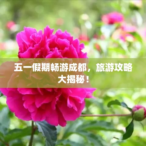 五一假期畅游成都，旅游攻略大揭秘！