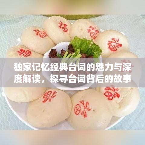 独家记忆经典台词的魅力与深度解读，探寻台词背后的故事与情感表达