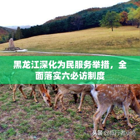黑龙江深化为民服务举措，全面落实六必访制度