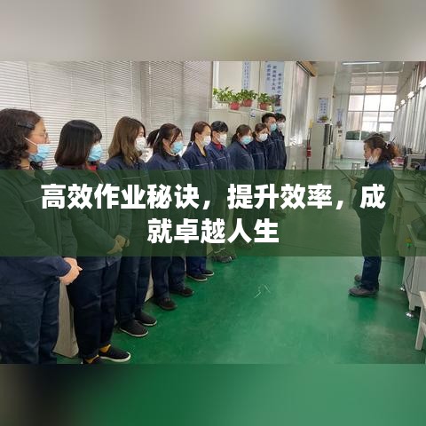 高效作业秘诀，提升效率，成就卓越人生