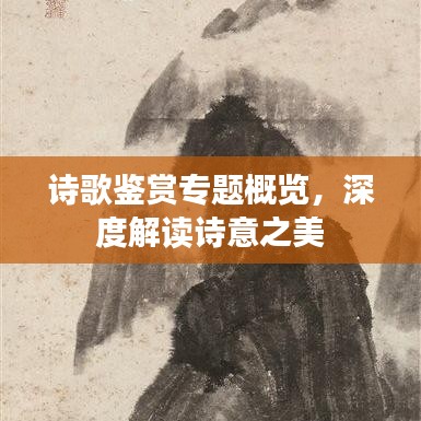 诗歌鉴赏专题概览，深度解读诗意之美