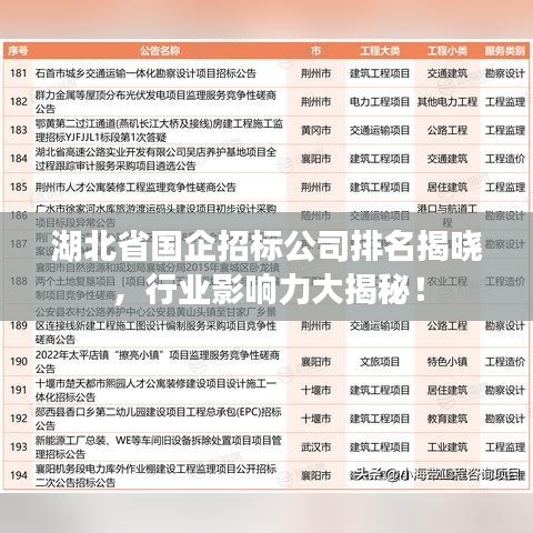 湖北省国企招标公司排名揭晓，行业影响力大揭秘！