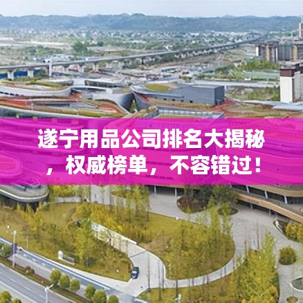 遂宁用品公司排名大揭秘，权威榜单，不容错过！