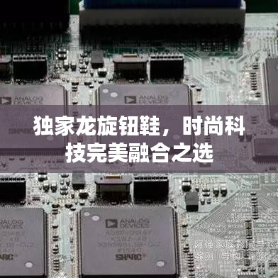 独家龙旋钮鞋，时尚科技完美融合之选